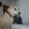 Susana blanki - @susanablanki - TikTok