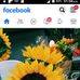 Susana Escobar - Facebook