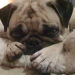 Susana Smith - @susana_smith_mcd - Instagram