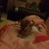 Susana Thomas Davis - @susana.thomas.dav - TikTok