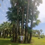 Susann Wolfram - @susannwolfram - Instagram