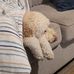 Susan Barr - Facebook