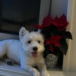 Susan Bates - @susanbates3390 - Instagram
