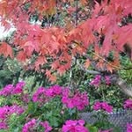 Susan Bates - @bates_susan - Instagram