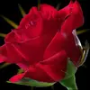 Susan Bates - @susan.bates609 - TikTok