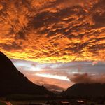 Susanna Beck - @susle_beck - Instagram