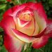 Susanna Beck - Facebook