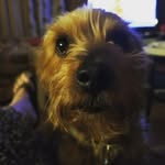 Susan Gilbert - @susieg54 - Instagram