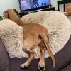 Susan Griffith - @grifsu1 - TikTok