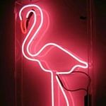 Susanna Howard - @howardsusanna - Instagram
