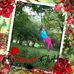 Susanna Howard - Facebook