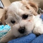 Susanna Johnson - @annacasadventures - Instagram
