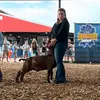 susanna_joy - @susanna_joy4 - TikTok