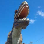 susan lloyd - @d20original - Instagram