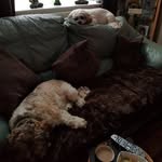 susan lloyd - @susanlloyd128 - Instagram
