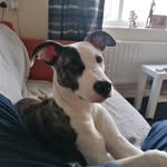 Susan Lloyd - @susan.lloyd.9 - Instagram