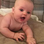 Susan Lloyd Holman - @susanlloydholman - Instagram