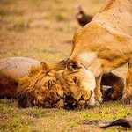 Michael smovcfiq James - @susannamurphy782640 - Instagram