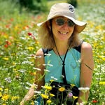 Susanna Walker - @susanna.walker.370 - Instagram