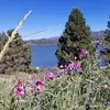 Susannah Cox Saavedra - @susannah.cox.saav - TikTok