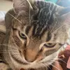 Suzanna Felts - @suzannafelts - TikTok
