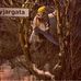 Susannah Gray - Facebook