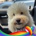 Susannah Somers Hogan - Facebook