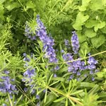 Susannah Johnson - @susannahj2004 - Instagram
