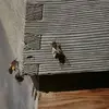Susannah Johnson - @susannah.johnson - TikTok