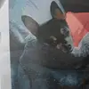 susanashertuttle - @susanashertuttle - TikTok