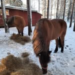 Susanne Andersson - @anderssonsussie_ - Instagram
