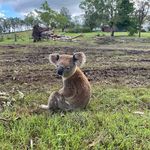 Susanne Carter - @susanneevp - Instagram