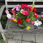 Susanne Christophersen - @christophersensusanne - Instagram