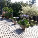 Susanne waalen Christophersen - @susannewaalenchristophersen - Instagram