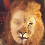 Susanne Conner - @susannadanna_conner - Instagram