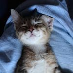 Susanne Daniel - @danielsusanne70 - Instagram