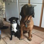 susanne - @susanne.david.sd - Instagram