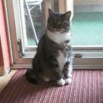 Susanne David - @susanne.david.14 - Instagram