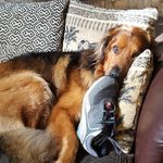 Susanne David - @susanne.david.68 - Instagram