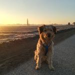 Susanne David - @susannedavid476 - Instagram