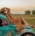 Suzanne Dodd - Facebook