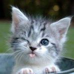 Susanne Erb - Facebook