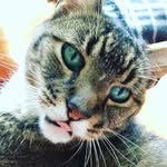 susanne Erber - @erbersusanne - Instagram