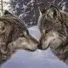 susanhackbarth - @susanhackbarth - TikTok