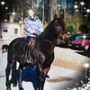 Susanne Hackbarth - @bolker9 - TikTok