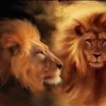 Susanne Hoffman - @s.hoffman66 - Instagram