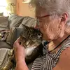 Susanne Hoffman - @susanne.hoffman4 - TikTok
