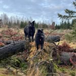 Susanne Hoffmann - @susannehoffmann56 - Instagram