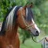 Susanne Hoffmann - @susanne.hoffmann23 - TikTok
