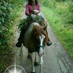 Susanne Ternes - @susanne.hoffmann.940098 - Instagram